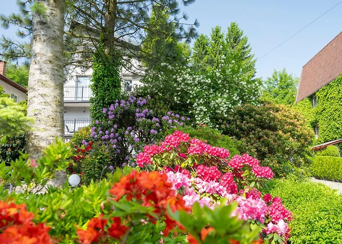 Karkonosky - Zacisze Azalia קרפאז'