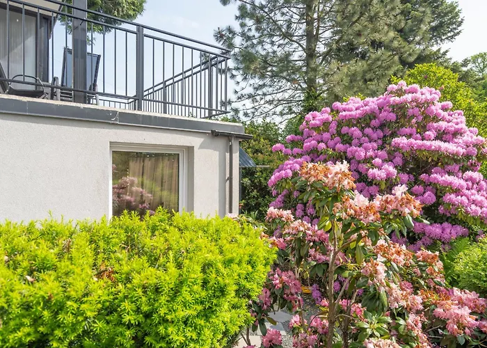 Karkonosky - Zacisze Azalia קרפאז'